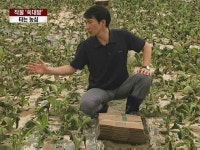 애써 키운 작물이 쑥대밭…안타까운 농심