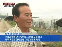 대전·충남 집중폭우 피해 속출