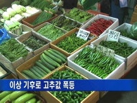 이상 기후로 고추값 폭등