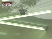 편의점 강력범죄 잇따라…특성화 예방책 절실