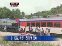 코스모스 천국, 경남 하동 북천역으로 오세요