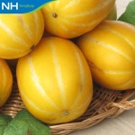 [wshop] [성주참외원예농협] 정품 참외 10kg(25-45과) 6196715 | 홈쇼핑모아 [wshop] [성주참외원예농협] 정품 참외 10kg(25-45과) 6196715