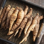 [wshop] [더조은] 제주산 향긋한 흙더덕 4kg (중품) 6069761 | 홈쇼핑모아 [wshop] [더조은] 제주산 향긋한 흙더덕 4kg (중품) 6069761