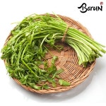 [wshop] [참바른] 숨쉬는 미나리 1kg(200g x 5팩 소포장) 6247054... [wshop] [참바른] 숨쉬는 미나리 1kg(200g x 5팩 소포장) 6247054