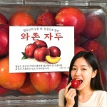 [wshop] 포미식탁 경북 자두 와촌자두 중대과 500g (12과 내외)... [wshop] 포미식탁 경북 자두 와촌자두 중대과 500g (12과 내외) 7317831