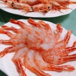 [wshop] 독도 활 꽃새우 독도새우 500g 당일조업 6693189 | 홈쇼핑모아 [wshop] 독도 활 꽃새우 독도새우 500g 당일조업 6693189