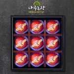 [wshop] [나주농장] 수려한1호 사과 선물세트 9과(3kg내외) 5551667 | 홈쇼핑모아 [wshop] [나주농장] 수려한1호 사과 선물세트 9과... 