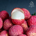 [wshop] [웰굿] 프리미엄 신선한 생 리치 1kg(개당20-25g내외)... [wshop] [웰굿] 프리미엄 신선한 생 리치 1kg(개당20-25g내외) 7246104