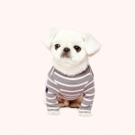 WIZWID:위즈위드 - [PET AROUND:펫어라운드][10%쿠폰]Stripe T-Shirt Charcoal WIZWID