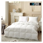 위즈위드 [WIZWID]