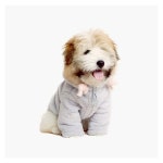 WIZWID:위즈위드 - [PET AROUND:펫어라운드]Runnig All-In-One Blue   WIZWID
