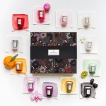 WIZWID:위즈위드 - [VOLUSPA:볼루스파]자포니카 컬렉션 선물세트 WIZWID