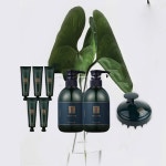 WIZWID:위즈위드 - [AMH:에이엠에이치]Amh 샴푸 500ml (2개)+50ml(5개) + 두피마사지 브러쉬 WIZWID