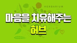 사자소학 - 학생 일반인의 인성교육 지침서 - 북채널