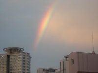 [진품가품] 기타(| Other Brand |) / 라이프 - 부산에도 무지개가 떴어요 : 필웨이 (FEELWAY)