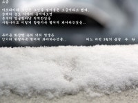 [진품가품] 기타(| Other Brand |) / 라이프 - 여긴 남쪽나라 김해 래예~~ : 필웨이 (FEELWAY) [진품가품] 기타(| Other Brand |) / 라이프... 