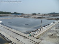 [진품가품] 기타(| Other Brand |) - 신안증도예요^^ : 필웨이 (FEELWAY)