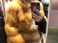 최상급레드폭스  | Other Brand | 필웨이