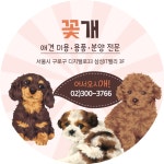 디자인 상세 보기 | 비즈하우스