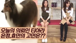 티아라 은정&효민의 고민은? [마이펫 상담소] 4회 - kakaoTV 티아라 은정&효민의 고민은? [마이펫 상담소] 4회