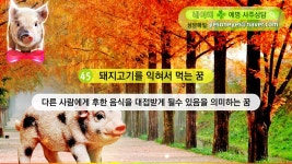 3540] 돼지꿈해몽 53가지 총모음, 돼지꿈 - kakaoTV [예명사주상담... 전화사주상담 문의 010.7561.3540] 돼지꿈해몽 53가지 총모음, 돼지꿈