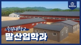 [하이틴TV] 중원대학교 - 말산업학과 - kakaoTV [하이틴TV] 중원대학교 - 말산업학과