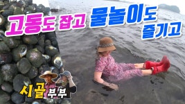 귀농귀촌 시골부부 (물때좋은날)#8_고동도잡고 물놀이도 하고 (삼산면 바닷가) - kakaoTV 귀농귀촌 시골부부 (물때좋은날)#8_고동도잡고... 