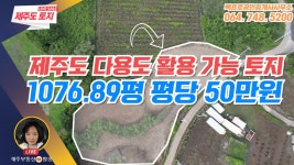 492 _ ✈️제주도 제주시 한림읍 월림리ㅣ임야ㅣ현재는 농사를 짓고... 한림읍 월림리ㅣ임야ㅣ현재는 농사를 짓고 있는 토지 ㅣ🌈다용도로... 
