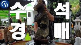 수석경매장 수석 낙찰 가격은? 수석 경매!!! Ep.3 최고의수석 수석고르는법 수석가격 - kakaoTV 수석경매장 수석 낙찰 가격은? 수석 경매!!! Ep.3... 