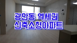 광안리 해수욕장과 지하철역세권 신축소형아파트 부백자연애 - kakaoTV 광안리 해수욕장과 지하철역세권 신축소형아파트 부백자연애
