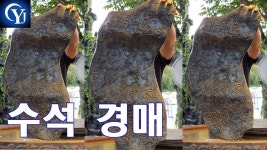 Ep.22 최고의수석 수석경매장 수석고르는법 수석가격 - kakaoTV 신기한 상형문자 수석 경매!!! Ep.22 최고의수석 수석경매장 수석고르는법... 