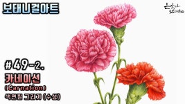 [꽃그림배우기/보태니컬아트] #49-2. 카네이션 (Carnation) 색연필 그리기 (꽃그림 강좌) - kakaoTV [꽃그림배우기/보태니컬아트] #49-2.... 