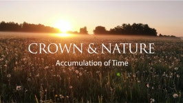 자연의 영속적 가치를 품은 럭셔리 구스다운 이불 브랜드 크라운구스 Full Ver. - kakaoTV 자연의 영속적 가치를 품은 럭셔리 구스다운... 