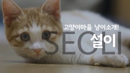 오구에비뉴&설맥 | 오구오구 귀요미! 수다쟁이 공주님 설이! - kakaoTV 오구오구 귀요미! 수다쟁이 공주님 설이!