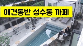 성수동 애견동반 까페 - kakaoTV 성수동 애견동반 까페