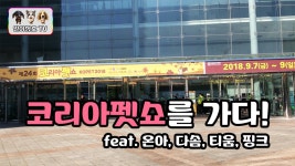 2018 코리아펫쇼를 다녀온 닥스훈트 남매 일호와 삼호! - kakaoTV 2018 코리아펫쇼를 다녀온 닥스훈트 남매 일호와 삼호!
