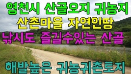 영천시산골오지자연인땅매매.영천시두메산골귀농귀촌주택용지매매.영천시산촌마을귀촌주택용지매매.영천시산골자연인토지매매 - kakaoTV... 