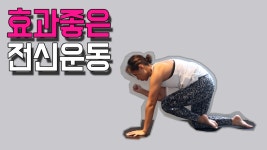 여자뱃살빼는운동와 남자뱃살빼는운동 그리고 스쿼트운동효과와 코어운동 알아보자! - kakaoTV 여자뱃살빼는운동와 남자뱃살빼는운동 그리고... 