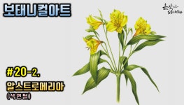 알스트로메리아 그리기 (꽃드로잉 - 꽃그림 기초강좌) 색연필꽃그림 - kakaoTV [보태니컬아트] #20-2. 알스트로메리아 그리기 (꽃드로잉... 