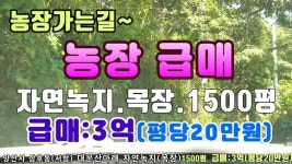 [양산대운산 농장급매] 경남 양산시 삼호동(서창) 농장1500평.급매 합니다. - kakaoTV [양산대운산 농장급매] 경남 양산시 삼호동(서창)... 