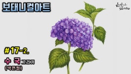수국 그리기 (꽃드로잉 - 꽃그림 기초강좌) 색연필꽃그림 - kakaoTV [보태니컬아트] #17-2. 수국 그리기 (꽃드로잉 - 꽃그림 기초강좌)... 