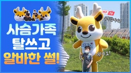 서동이 & 동동이 탈쓰고 구민들 만난썰! (day. 석가탄신일) - kakaoTV... 서동이 & 동동이 탈쓰고 구민들 만난썰! (day. 석가탄신일)