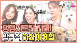하와이에서 만난 레이! 현모x나희x소희가 훌라춤 추다 만난 귀여운 생명체의 정체는?!♡ - kakaoTV 하와이에서 만난 레이! 현모x나희x소희가... 