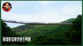 여성 지루박 콜라텍 사교댄스 사교춤 교본 - kakaoTV 여성 지루박 콜라텍 사교댄스 사교춤 교본