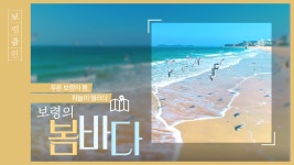 보령줌인 | 푸른 보령의 봄, 하늘이 열리다! - kakaoTV 보령줌인 | 푸른 보령의 봄, 하늘이 열리다!