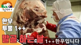 [한우장날] 181128 정읍산외한우마을 한우 투뿔(1++) 발골하는 날~ - kakaoTV [한우장날] 181128 정읍산외한우마을 한우 투뿔(1++) 발골하는 날~