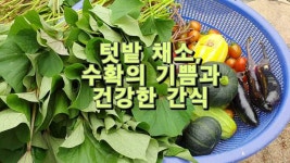 텃밭채소, 수확의 기쁨과 건강한 간식 - kakaoTV 텃밭채소, 수확의 기쁨과 건강한 간식