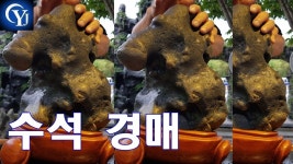 Ep.17 수석경매장 최고의수석 수석고르는법 - kakaoTV 수석경매 부와 행운을 부르는 코끼리 수석 낙찰? 유찰?  Ep.17 수석경매장 최고의수석... 