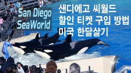 샌디에고 씨월드의 모든것, 할인 티켓 구입 방법 - 미국... 샌디에고 씨월드의 모든것, 할인 티켓 구입 방법 - 미국 한달살기... 