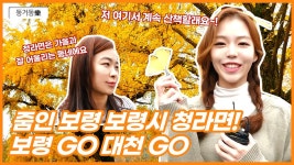 줌인 보령! 청라면 편 - kakaoTV 줌인 보령! 청라면 편